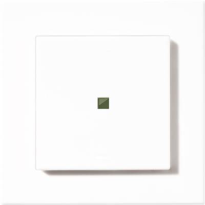 Homematic IP HM-PB-2-WM55-2 Adapter Trådlös