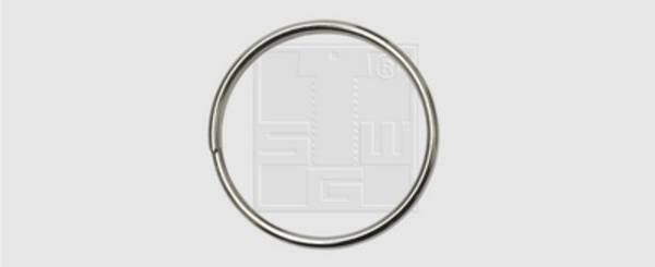 SWG Nyckelring 68455230 VN16mm Silver 50 st