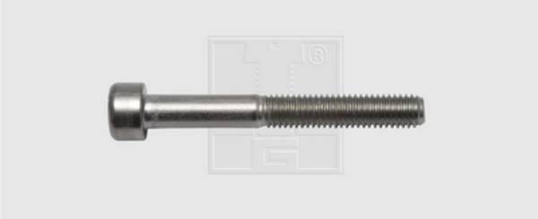 SWG  9452067 Insexskruvar M5 20 mm Insexkant DIN 912   Rostfritt stål A2 50 st