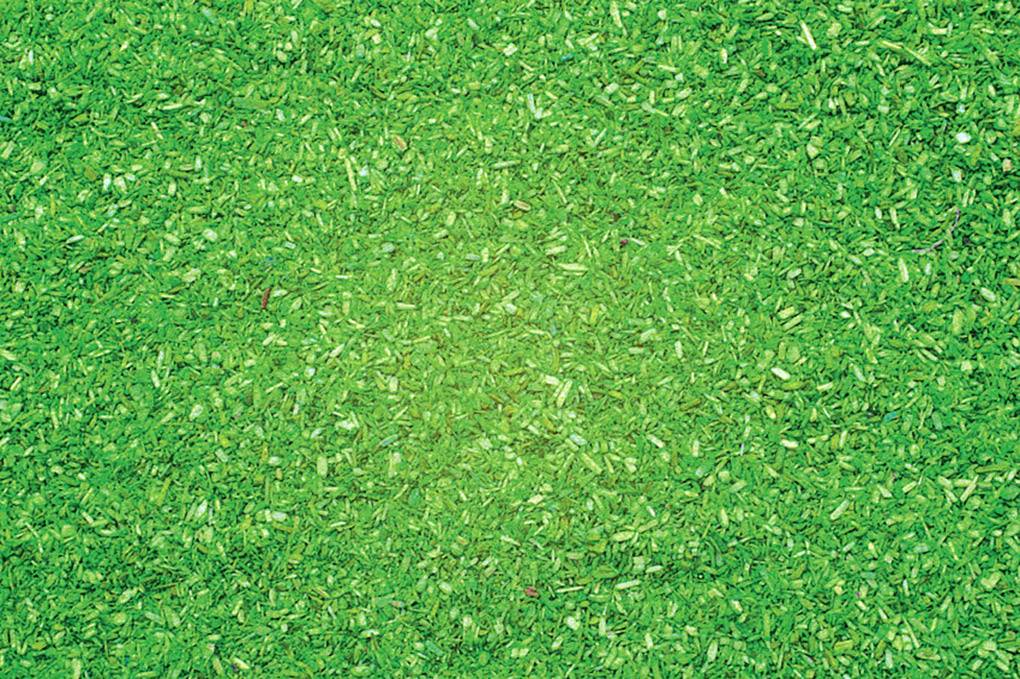 Grön gräsyta, jämn gräsmatta utan synliga detaljer eller objekt.