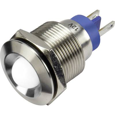 TRU COMPONENTS 1302119 LED-signallampa Vit 12 V/DC