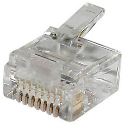 En transparent RJ-45-kontakt för nätverkskablar, med synliga guldpläterade kontakter.
