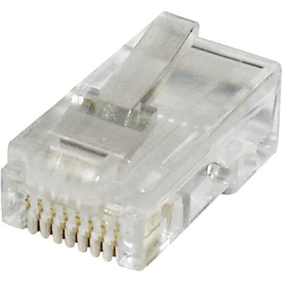 En transparent RJ45-kontakt för anslutning av nätverkskablar. Lämplig för Ethernet-anslutningar i datornätverk.
