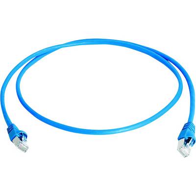 Blå Ethernet-kabel med två RJ45-kontakter.