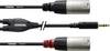 Cordial Audio Adapterkabel [1x Teleplugg 3.5 mm - 2x XLR-hankontakt] 3.00 m Svart