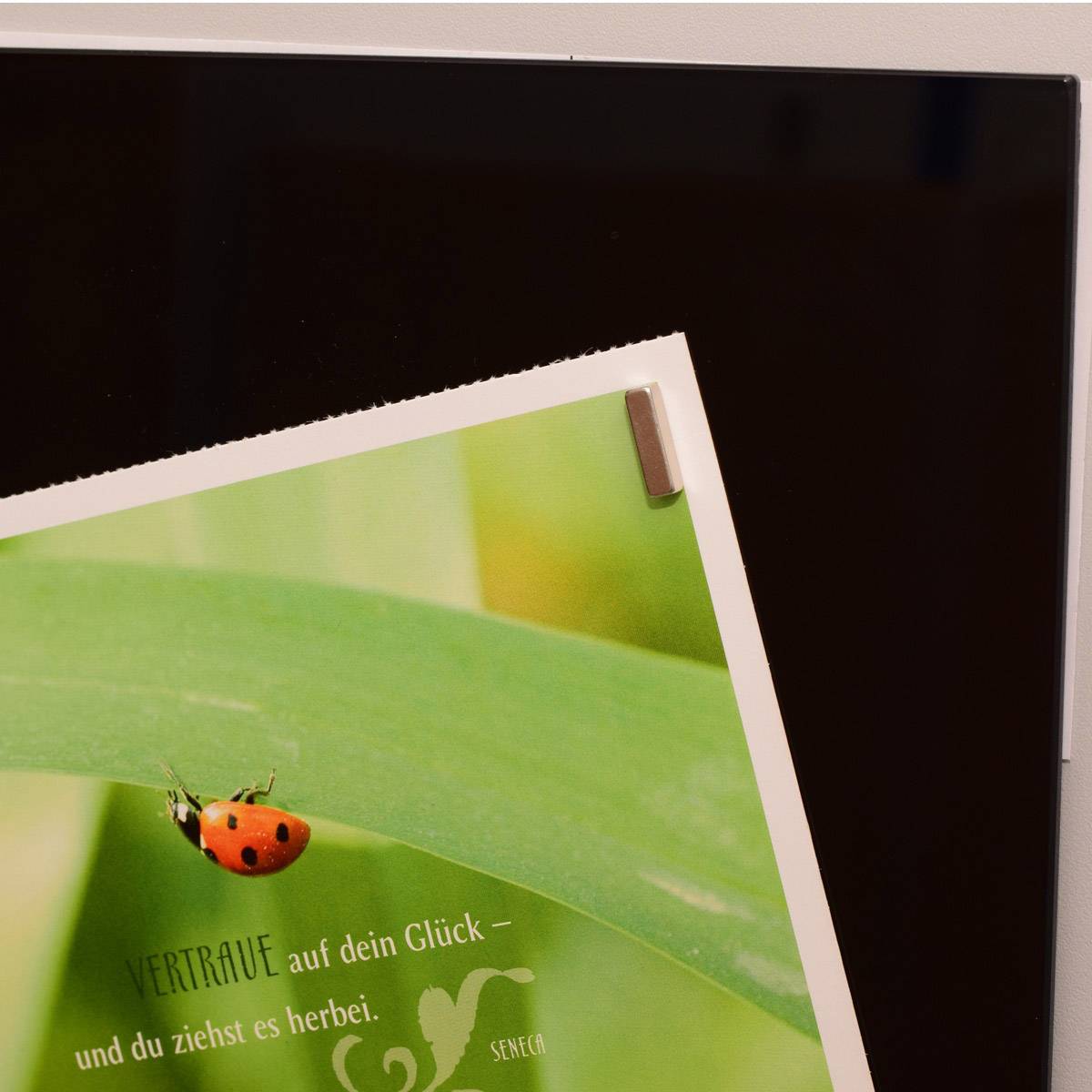 En nyckelpiga sitter på ett grönt blad. Därunder står det: 'Lita på din lycka – och du lockar fram den.'