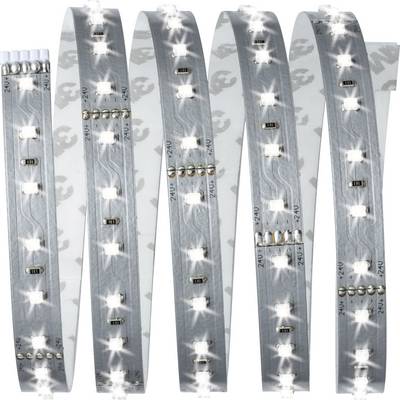 LED-slinga med vita lampor, jämnt fördelade, på ett flexibelt band.