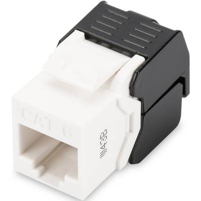 En vit och svart Cat6-ethernet-keystone-jack för anslutning av nätverkskablage i elskåp eller vägguttag.