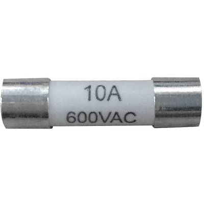 Säkring märkt '10A 600VAC', cylindrisk form, silverfärgade lock på båda ändar.