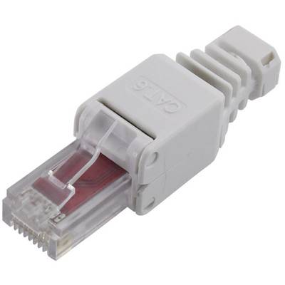 En vit CAT 6 Ethernet-kontakt med skyddshölje och röd innerledning.