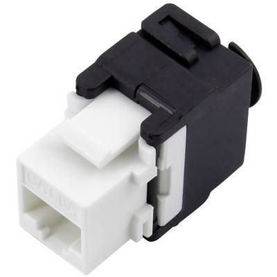 Svart och vitt CAT 6A keystone-modul för nätverkskablage.