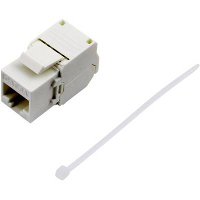 En vit nätverksanslutningsenhet med RJ45-kontakt och en kabelbindare, använd vid dataöverföring och nätverksinstallation.