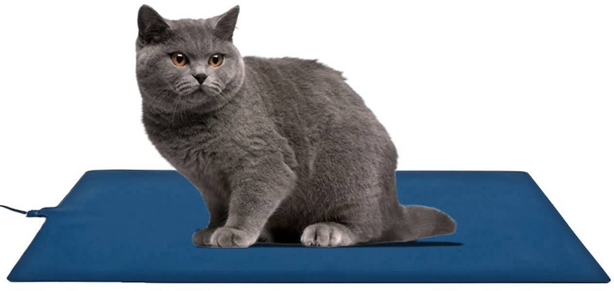 En grå katt sitter på en blå värmematta. Katten tittar framåt och mattan har en ansluten kabel.