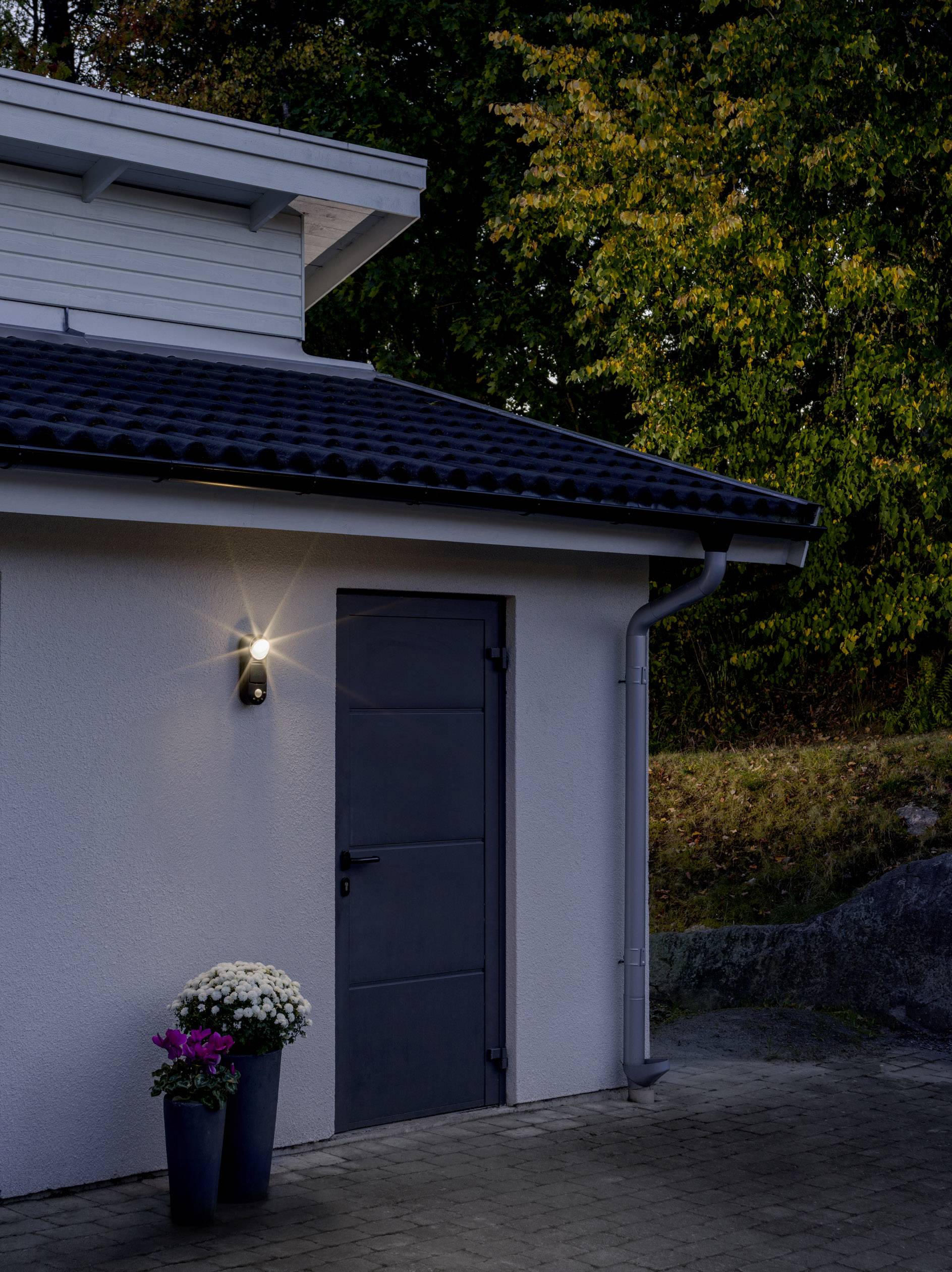 Hus med vit vägg och grå dörr, belyst av en utomhuslampa. Bredvid står två blomkrukor med blommor. Höstliga träd i bakgrunden.