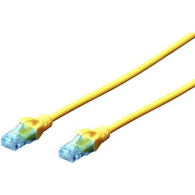 Gult Ethernet-kabel med blå kontakter i båda ändarna, används för anslutning och dataöverföring i nätverk.