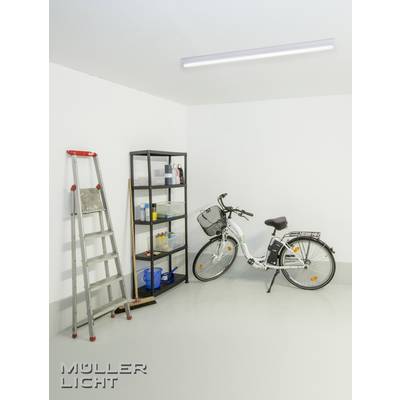 Ett ljust rum med en stege, en hylla full av rengöringsmedel och en cykel. En taklampa lyser upp scenen.