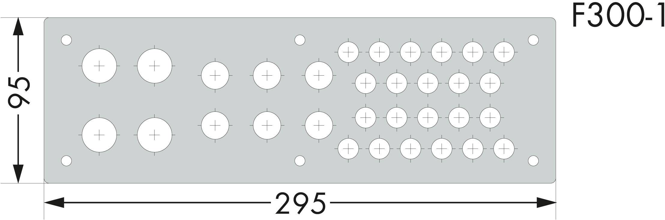 Monteringsplatta med flera borrhål i två grupper; mått: 295 mm bredd, 95 mm höjd; märkt med 'F300-1'.