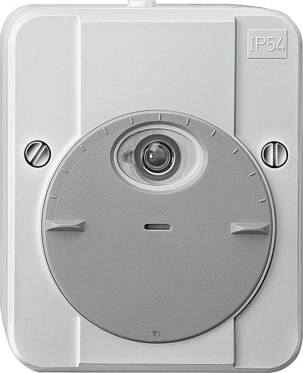 Schneider Electric 544829 Skymningsrelä Ljusgrå 230 V 1 NO