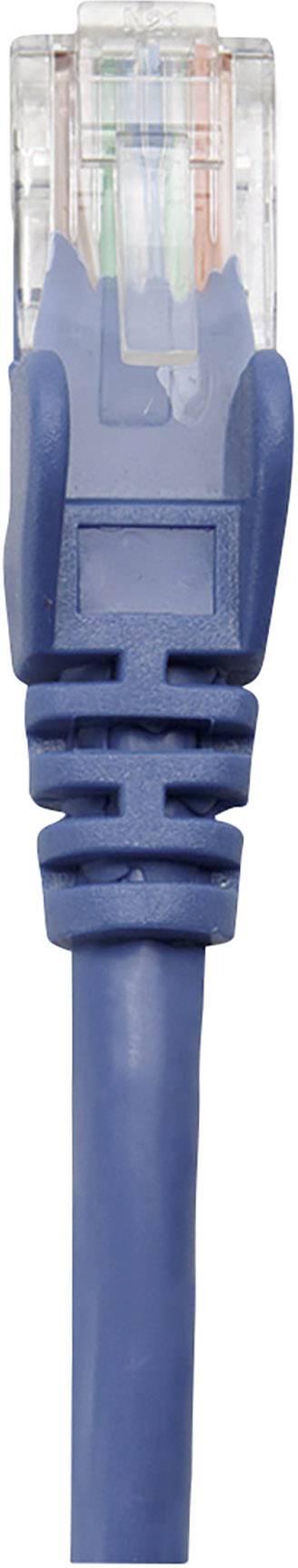 En blå Ethernet-kabel med genomskinlig kontakt, som används för nätverksanslutningar.