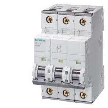 Siemens 5SY73068 5SY7306-8 Automatsäkring     6 A  230 V, 400 V