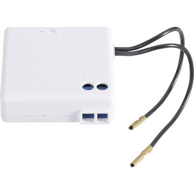 En liten, vit elektrisk modul med två svarta kablar som slutar med guldfärgade kontakter.