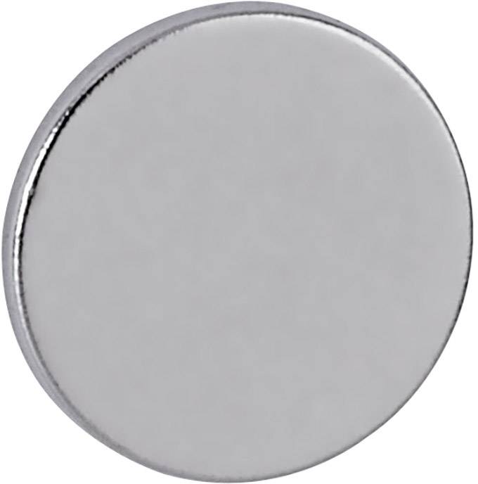 En liten, rund silvermagnet med slät yta.