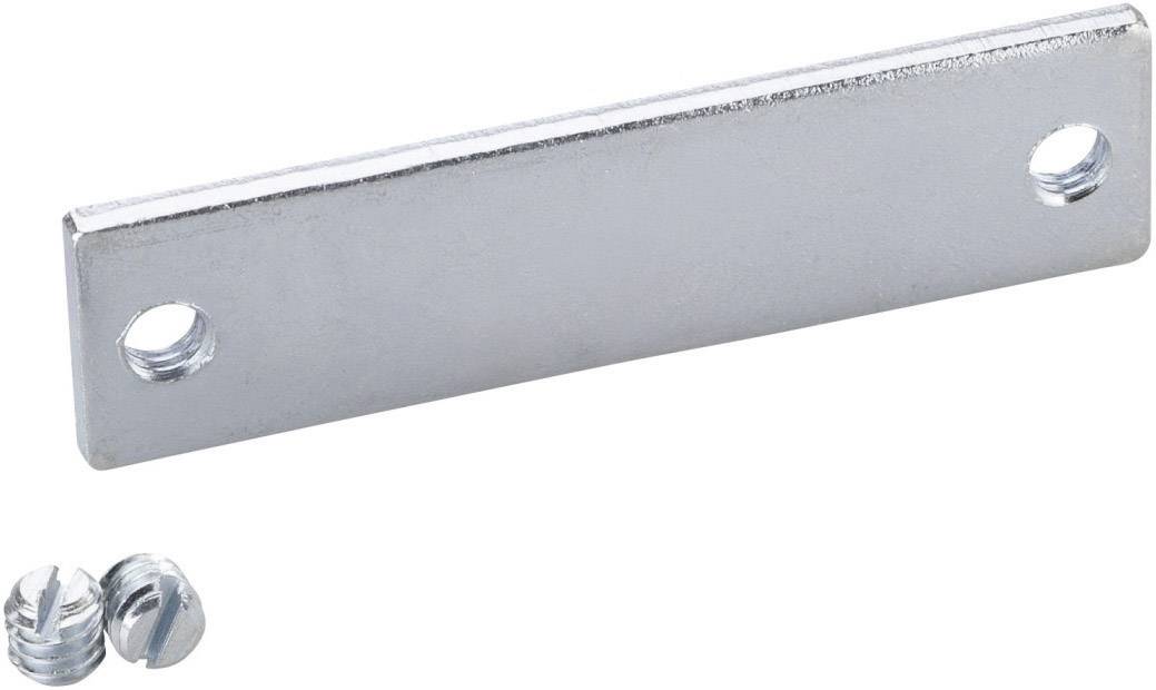Metallplatta med två hål och två skruvar.