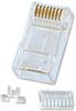 LINDY RJ45 Nätverk Adapter CAT 6 Transparent