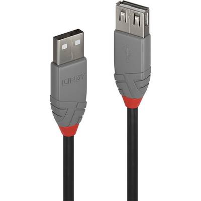 Två gråa USB-A-kontakter med röd accent på en svart kabel.