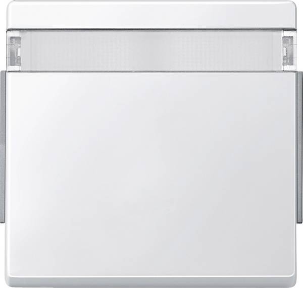 Merten Vippa/centrumplatta Strömställare vipp Aquadesign Polarvit 343919 1 st