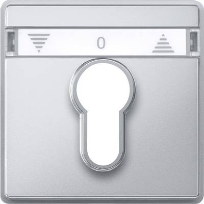 På bilden syns en silverfärgad switchtavla med ett nyckelhål i mitten. Ovanför finns triangelsymboler och en nolla.