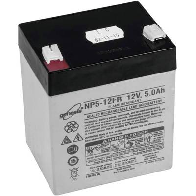Eurolite 13106994 Reservbatteri 1 st