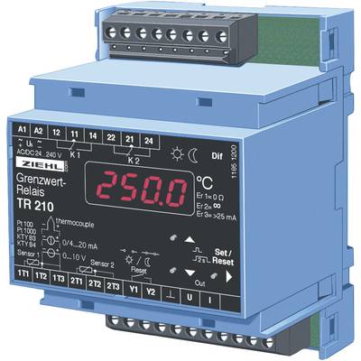 Elektronisk enhet med display visar '250.0'. Till vänster finns anslutningar, till höger knappar med beteckningar, under dem en temperaturvisning.