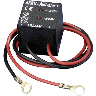 IVT Blybatteri-rekonditionerare 12 V, 24 V-0