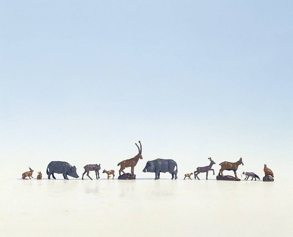 En rad av miniatyrer föreställande djur som noshörning, gasell och andra däggdjur, som står på en plan, reflekterande yta.