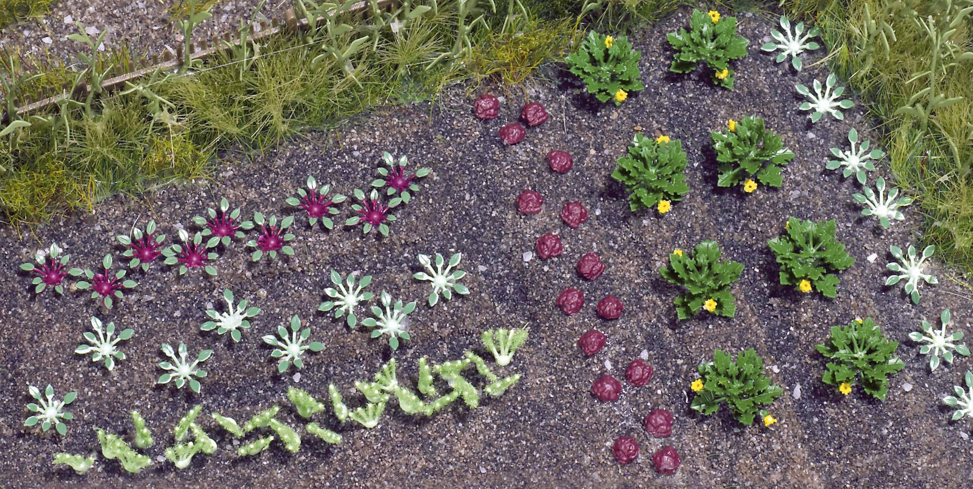 Grönsaksland sett uppifrån: Sallad till vänster, kålhuvuden i radmönster i mitten, blommande grönsaksplantor till höger, och gräs längre bak.
