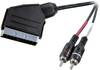 SpeaKa Professional SP-7870676 SCART / RCA Audio Anslutningskabel [1x SCART hane - 2x RCA-hane] 2.00 m Svart