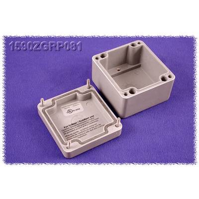 Hammond Electronics 1590Z235PL Ändplatta Stålbleck Natur 1 st