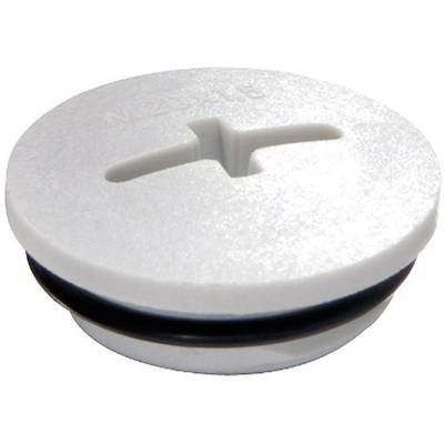 Wiska 10064634 EVSG-ORD M12 RAL 7035 Blindplugg M12 Polyamid Grå-vit (RAL 7035) 1 st