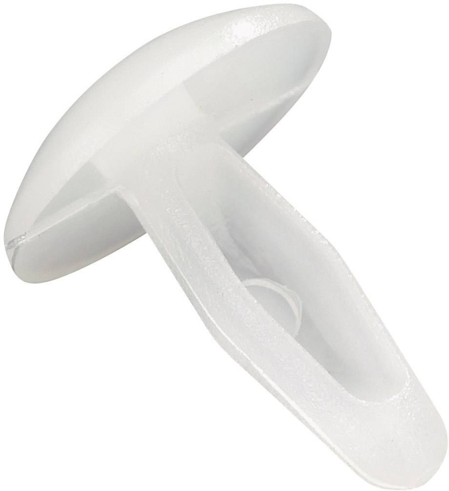 En vit, svampformad plastplugg som används för att fästa föremål vid väggar.