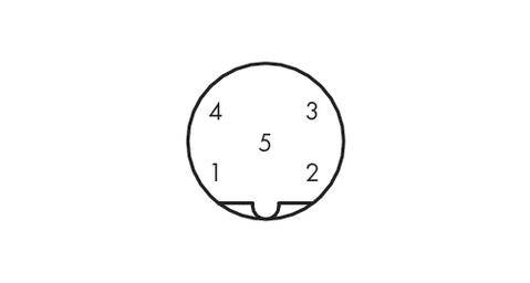 En cirkel med fem numrerade områden: 1, 2, 3, 4 och 5. Område 5 är centralt placerat, de övriga är arrangerade runt omkring det.