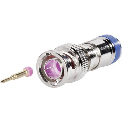 Interkabel BNC-KPS-75-49 BNC-KPS-75-49 BNC-kontaktdon Kontakt hane rak 75 Ω 1 st