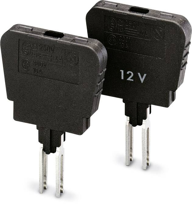 Två svarta elektriska säkringar märkta '12 V'. De är vertikalt orienterade och har silvriga metallkontakter.