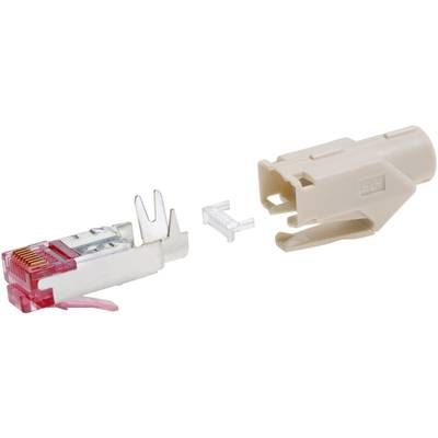 'En isärplockad RJ45-kontakt bestående av ett metallhölje, en transparent plastdel och ett beige plastfodral.'