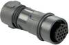 Bulgin PXP6011/03P/ST Rundkontakt Kontakt hane rak Serie (rundkontakt): PXP Totalt antal poler: 3 1 st