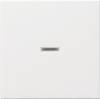 GIRA Inomhus strömställare Vippa/centrumplatta Kontrollomkopplare System 55, Standard 55, E2, Event, Event Clear, Event opak, Esprit, ClassiX Kritvit blank 029003 1 st