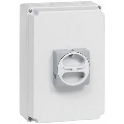 BACO 174461 Lastfrånskiljare avspärrbar 80 A 1 x 90 ° Grå, Grå 1 st