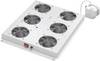 Digitus DN-19 FAN-4-SRV 19 tum 4 x Nätverksskåp-fläkt 1 U med switch Grå