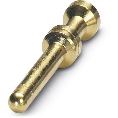 Guldfarfärgad metallpinne, möjligen en teknologisk eller förbindande komponent, på vit bakgrund.