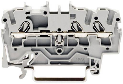 WAGO 2002-1301 Terminal med genomföring 5.20 mm Fjäder Beläggning: L Grå 1 st Piece